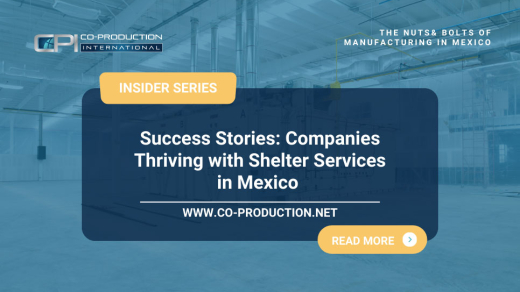 Success Stories: Companies Thriving with Shelter Services in Mexico 